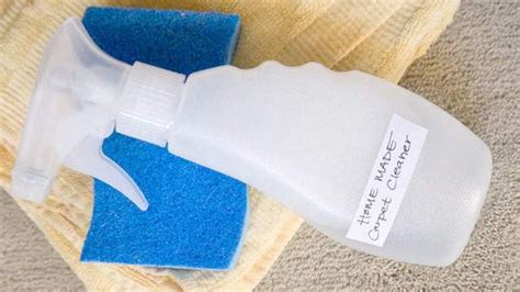 Magical powers at your fingertips: remove blue carpet stains effortlessly